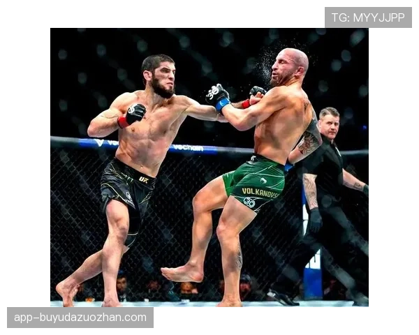 资深教练离开团队，加入“马哈切夫战队”担任首席战略顾问